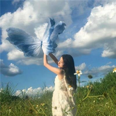 重生退婚妻第二季